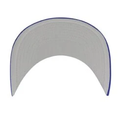 Men's Los Angeles Dodgers '47 Royal Backhaul Foam Trucker Snapback Hat -CapNation Shop mens 47 royal los angeles dodgers backhaul foam trucker snapback hat ss5 p 5015144pv 5u 5pvgs9yosnymkbajij2av ecqxgkqeliynkp0qogce